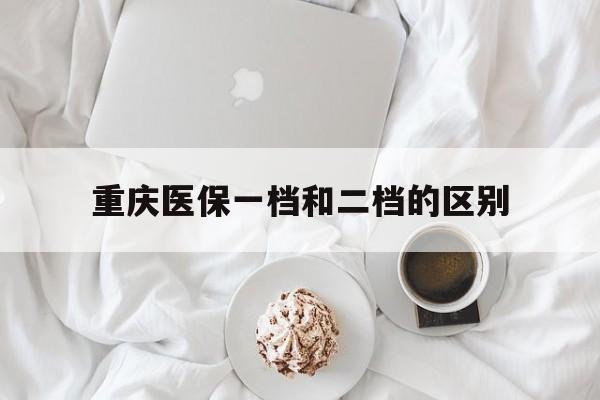 齐齐哈尔重庆医保一档和二档的区别(重庆医保一档和二档的区别2024年交多少钱)